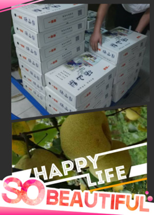 大成精密公司送员工砀山酥梨